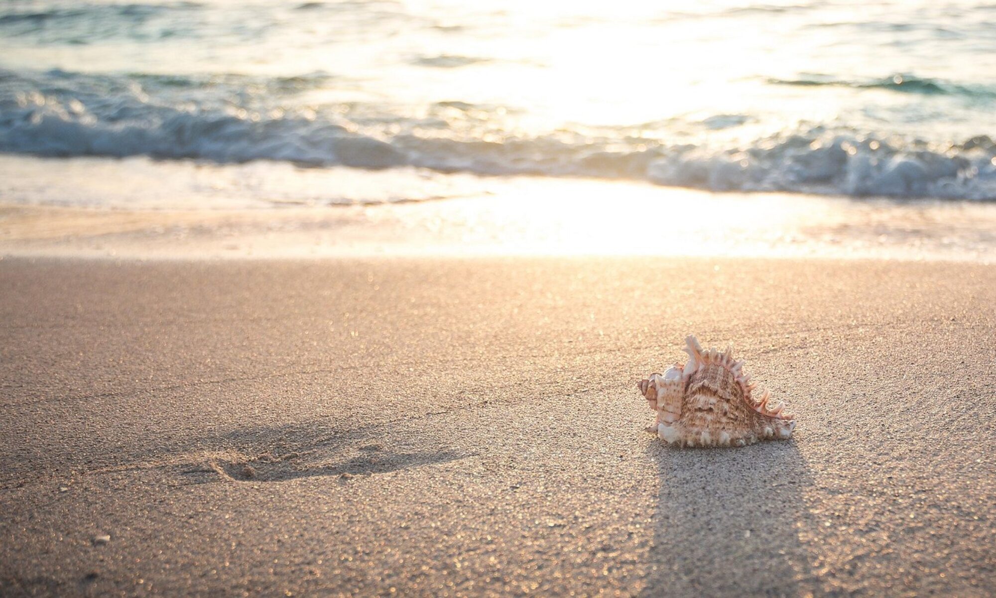 Summer Beach